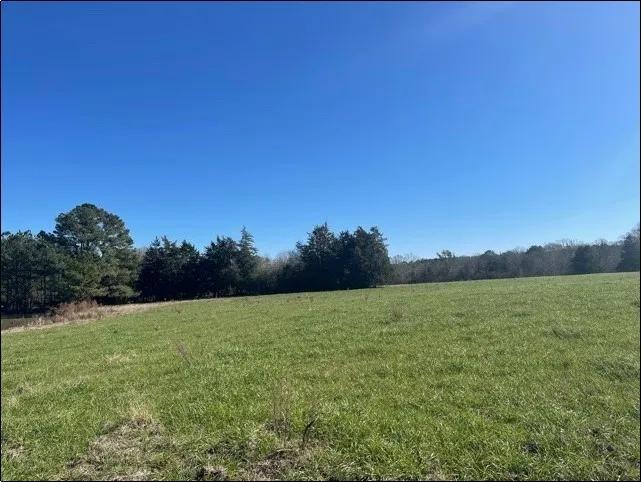 90 Acres in Leake County in Carthage, MS