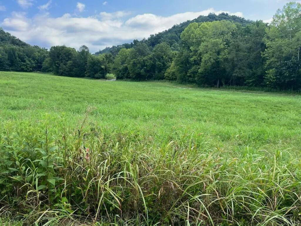 Hunting Land For Sale In Kentucky