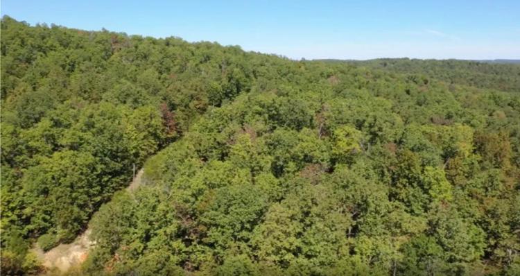 1.36 Acres Sharp County AR with Trees