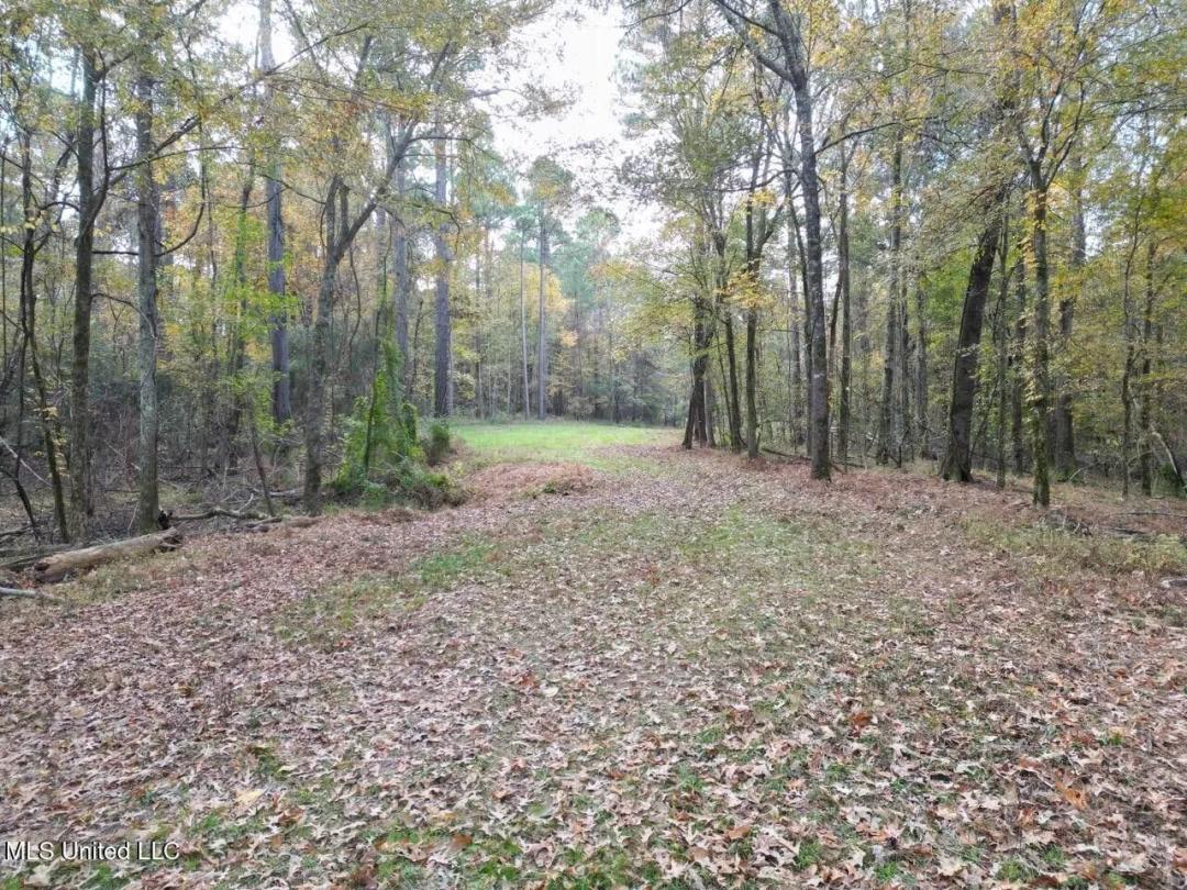 Roxie Mississippi - 94 Acre Recreational Retreat