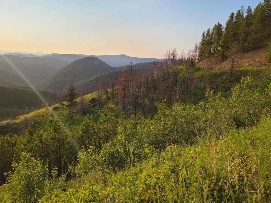 Zortman Landusky Gold Resource Property