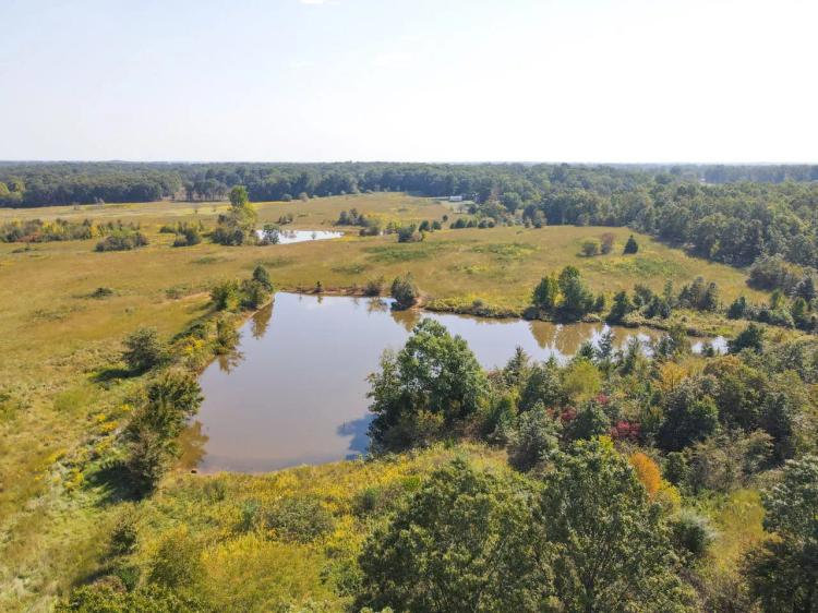 240+/- Acres For Sale in Ripley County, MO
