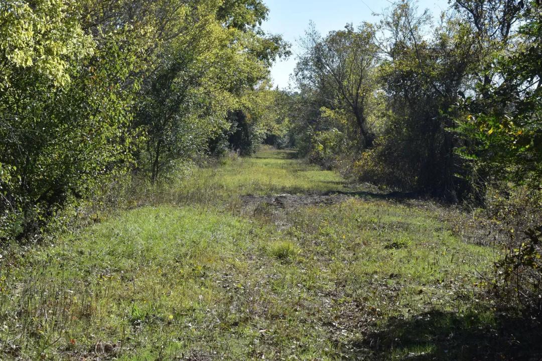 Barkman Creek South #2