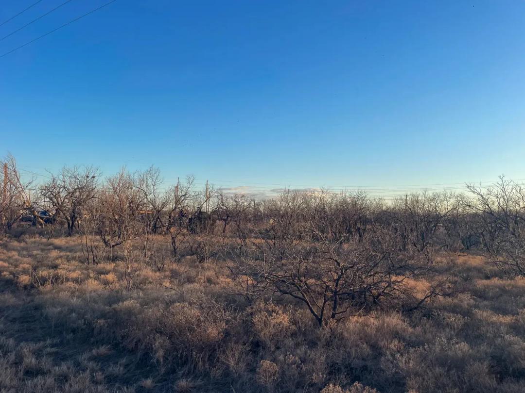 Under Contract - 2.01 Acres, TBD S Access Road, Tye