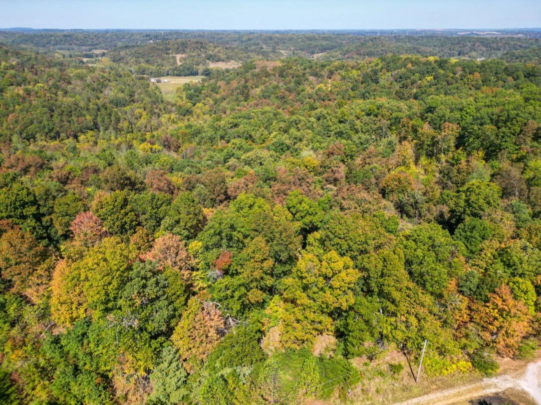 92.00 Acres at 0 Kemper Hollow Road