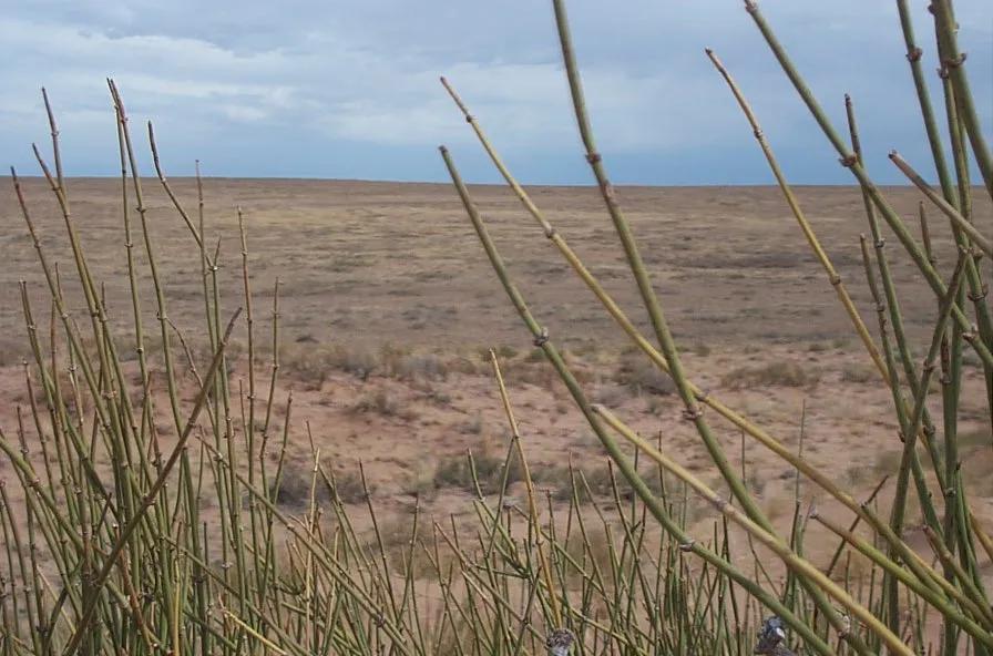 4 adjoining lots 5 acres near Petrified Forest Painted Desert Holbook