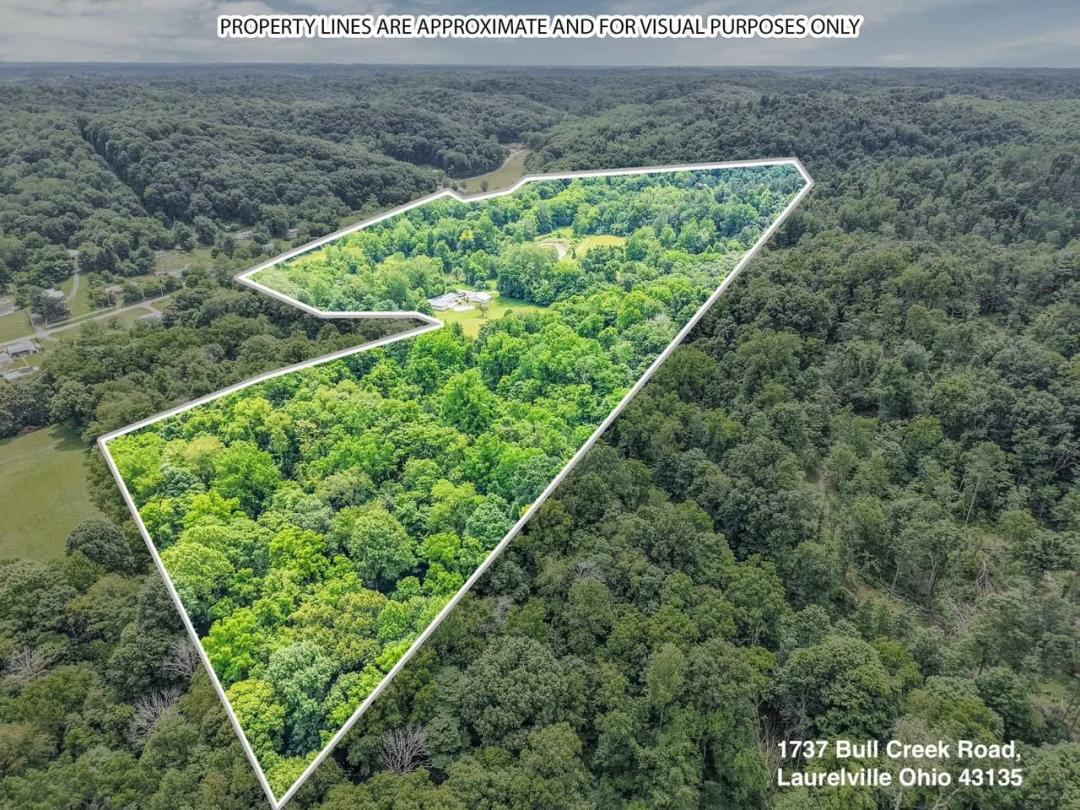 Bull Creek Rd - 98 acres