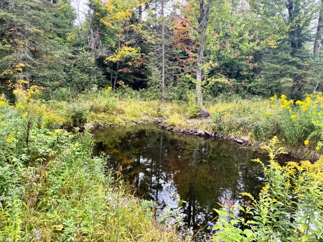 Tug Hill Retreat
