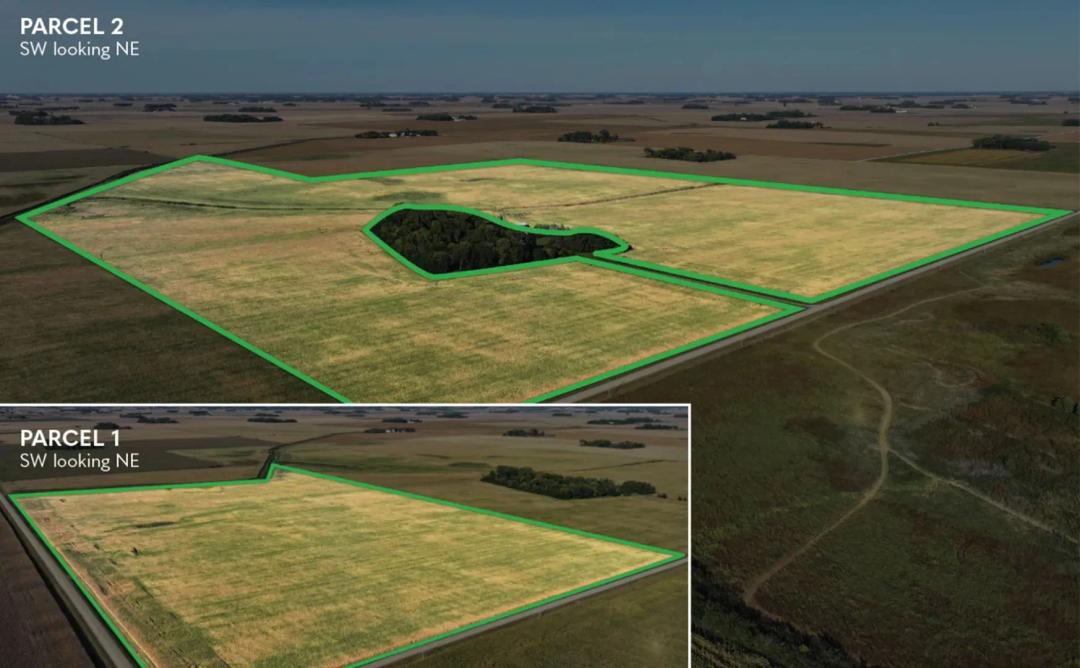 228.00± Acre Farm Auction Sibley County