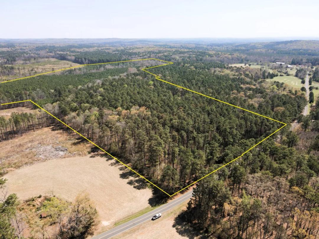 89.39 Acres at 01 Collins Mountain Rd