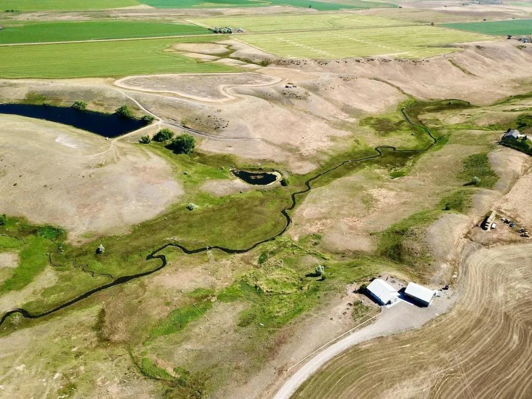 Irrigated Fort Shaw Farm
