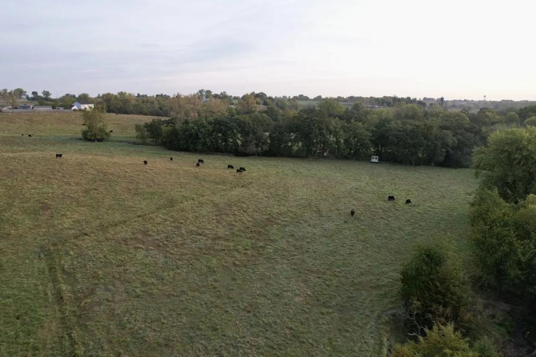Listing #18675 - 29.03 acres in Madison County, IA