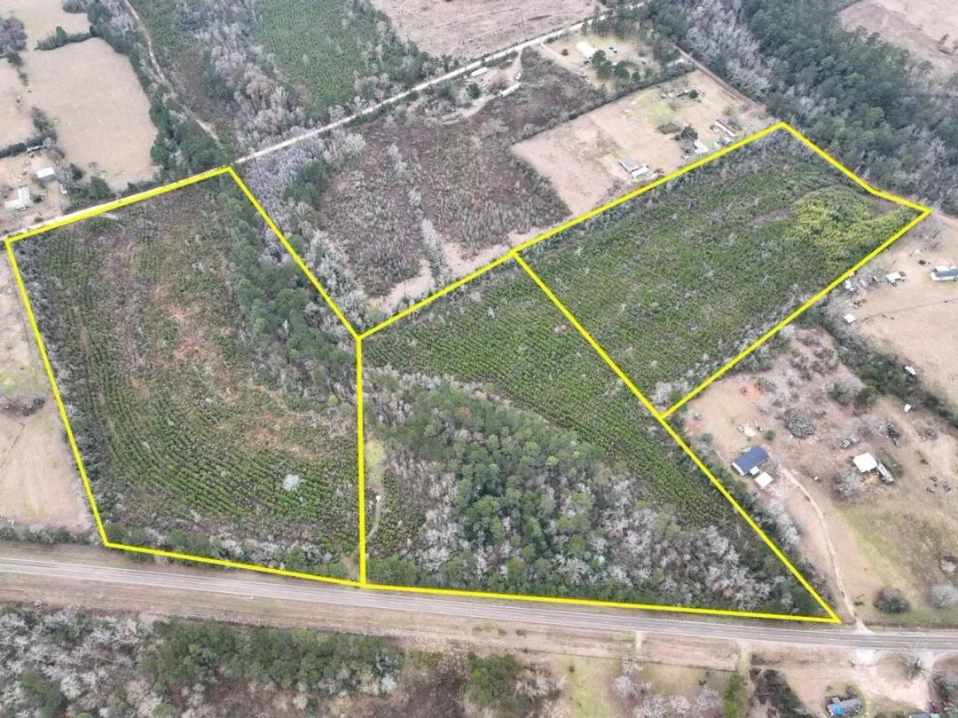 10 Acres | FM 2626 & County Road 2025 | T-1 | 00964