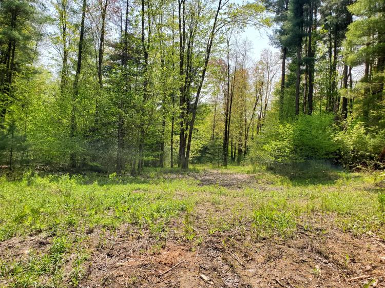 8.6 acre Woodlands on Snowmobile Trail Williamstown NY