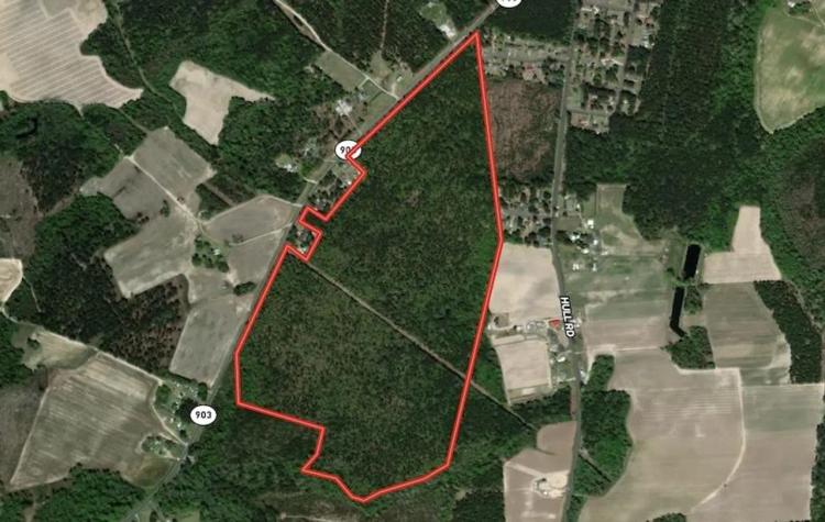 UNDER CONTRACT!!  115 Acres of Hunting and Timber Land For Sale in Greene County, NC!