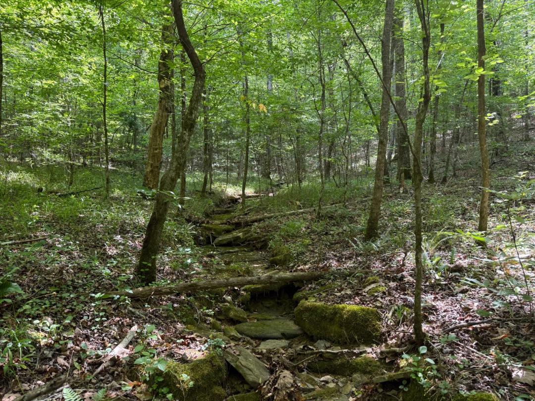 Blue Water Creek Tract