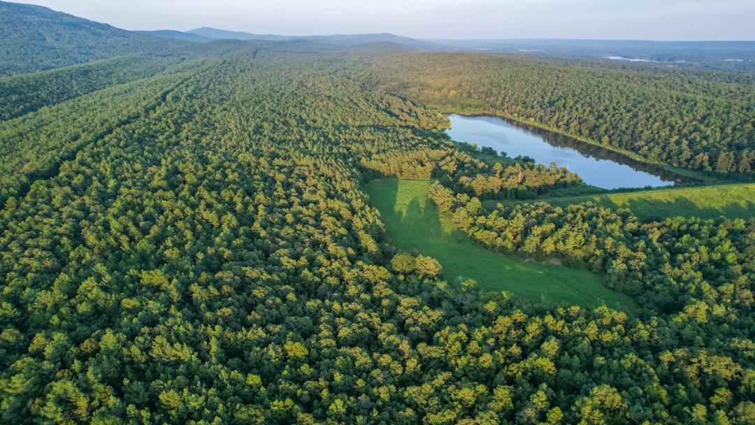 Ouachita Woods and Water