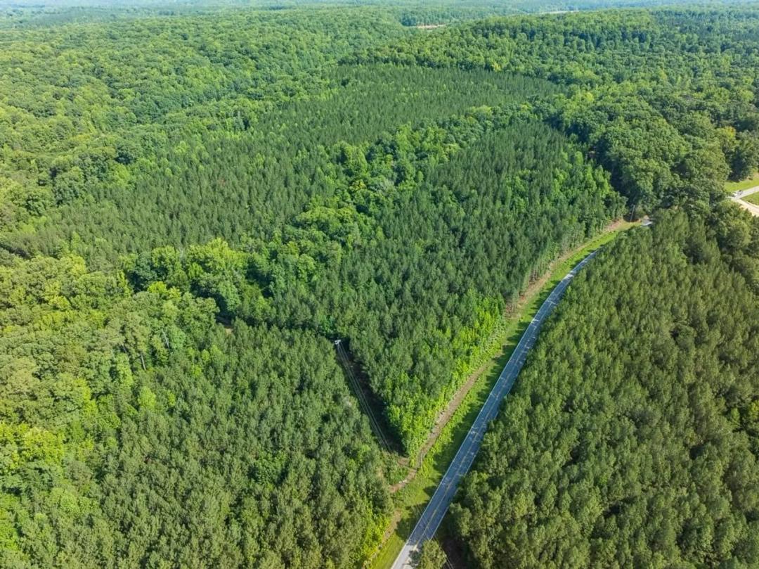 +/- 21.73- acre Homesite Lot for Sale in Durham County, NC!