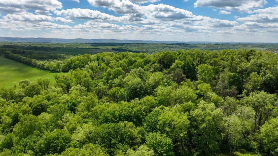 Heavily Wooded Recreational Tract Near Masontown Fayette PA
