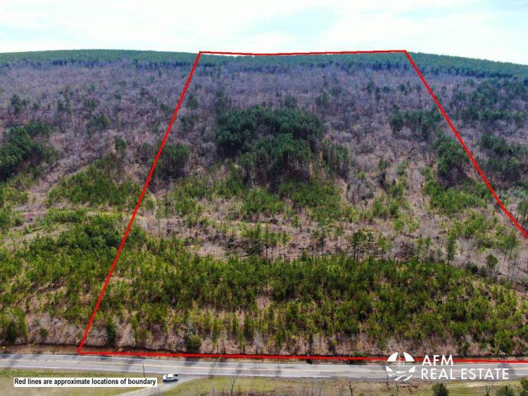 79.70 Acres at lot 5 State Highway 144