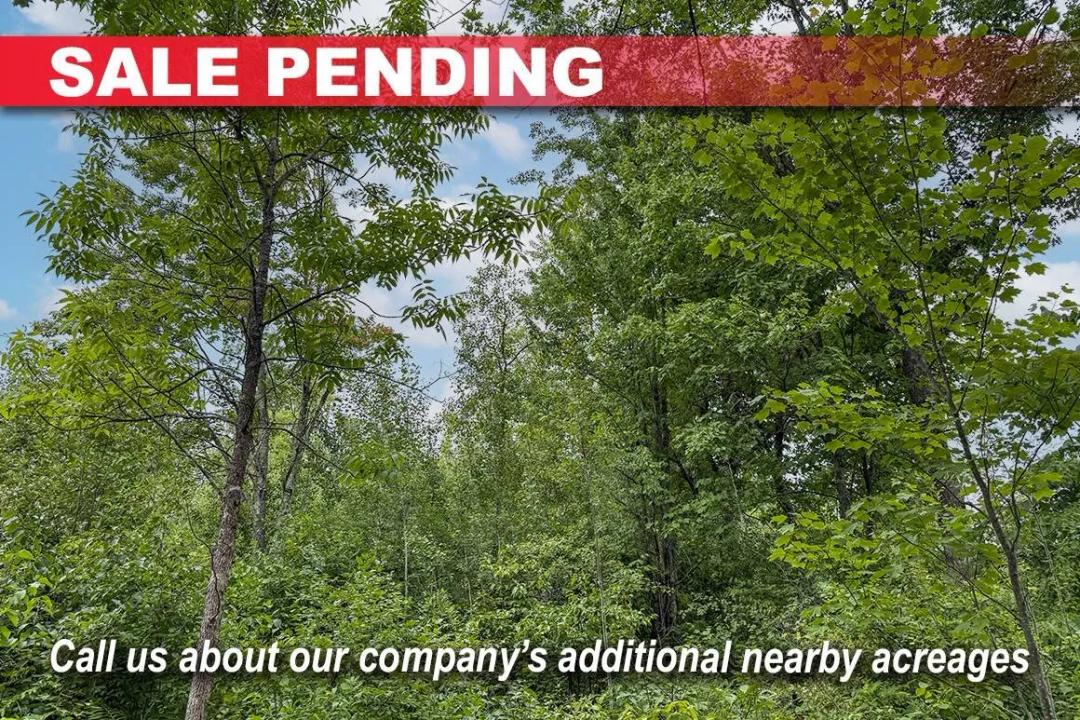 40 Wooded Acres in Dairyland, WI | Trails & Privacy $118,900
