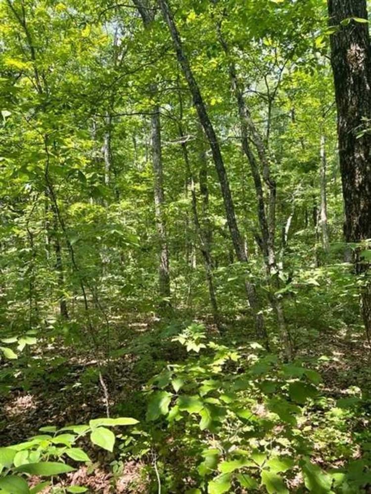 5.81+/-acres Beautiful wooded property located in the reputable Blueberry Bluffs.