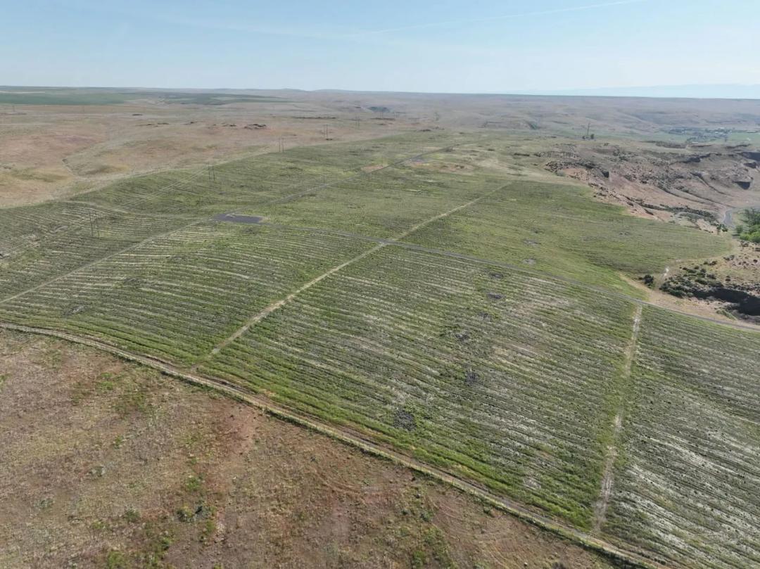 Listing #17410 - 740.34 acres in Walla Walla County, WA