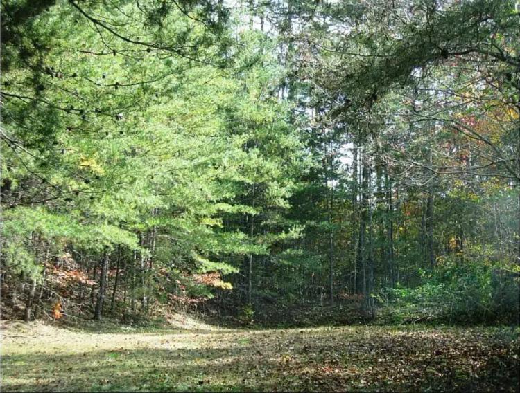 Amazing 0.52 acre lot in Murphy, NC with power and water available, propane and septic required.