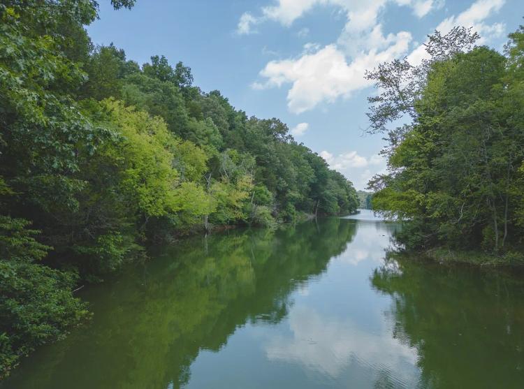Seize Your Lakeside Paradise in Morristown, TN