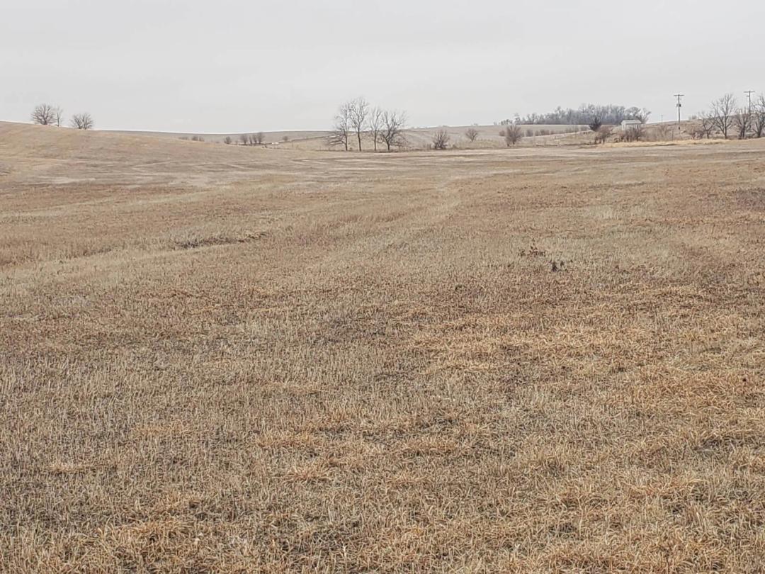 16.57 Acres at 56626 868 Rd