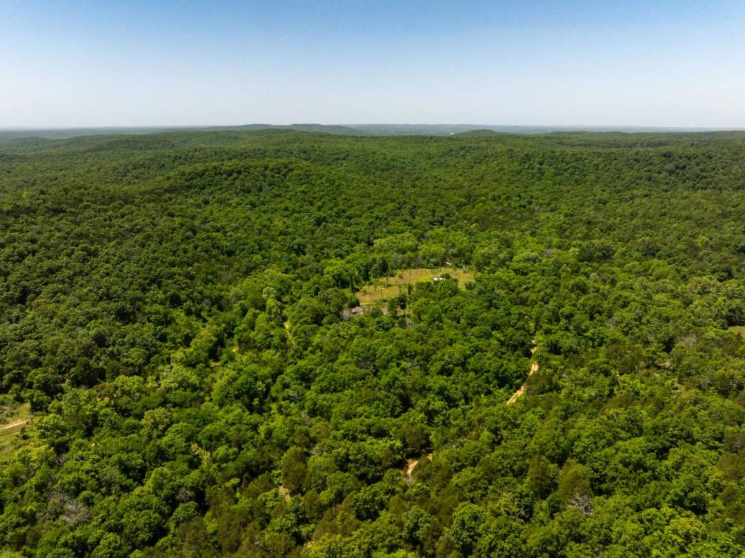 141.00 Acres at 0000 AR Hwy 58