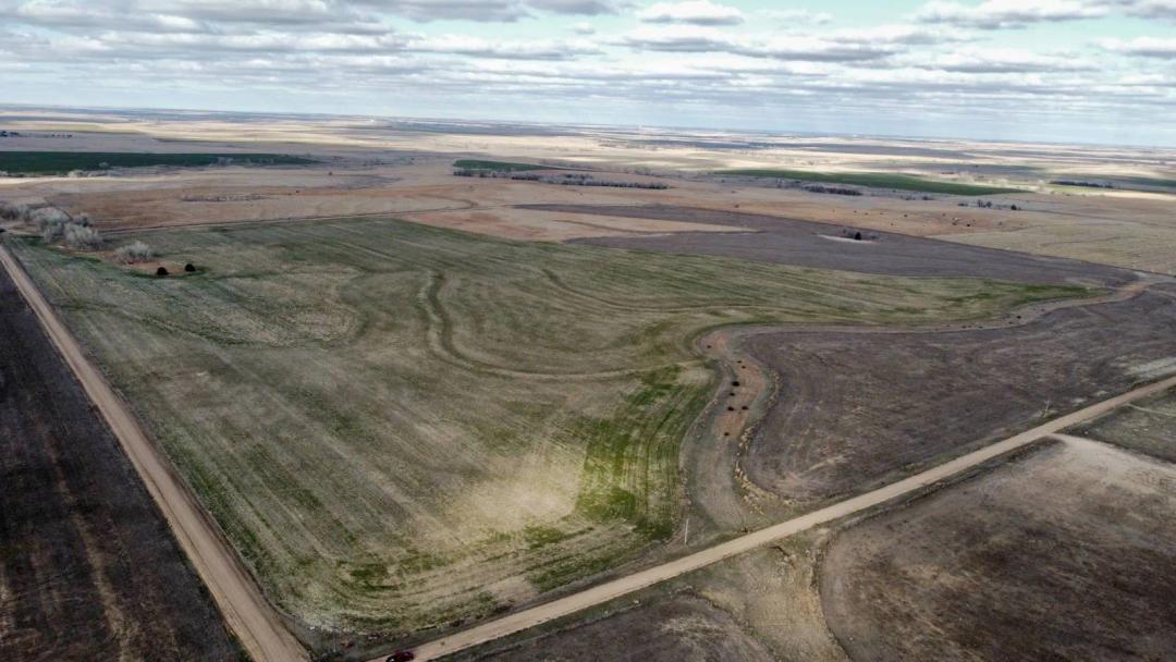 Rush County Farm & Hunt