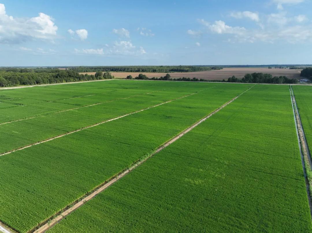 Dry Bayou Farm