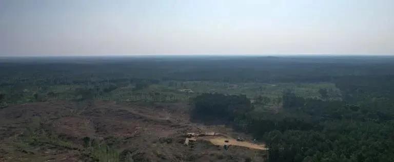 25.3 Acres in Lafayette County in Oxford, MS