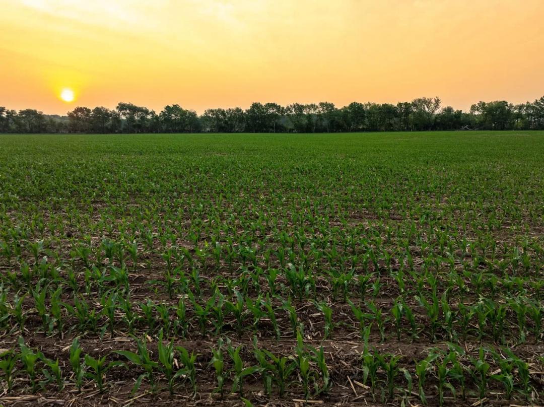 Listing #18536 - 90.65 acres in Winnebago County, IL