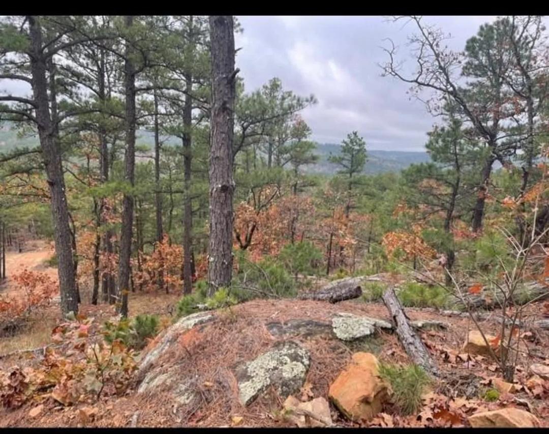 Buck Creek Recreational Hunting Ranch Moyers, Pushmataha County, OK 517 AC