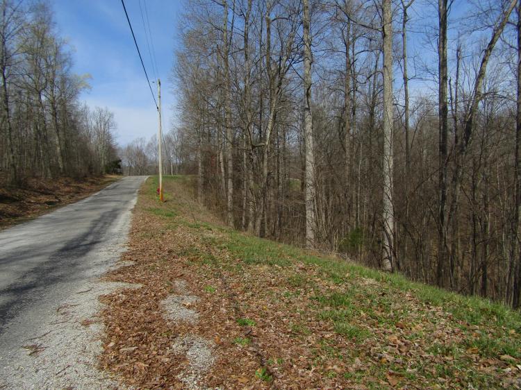 4.71 AC IS ESTATE OF HUNTERS LANDING – CLOSE TO CENTER HILL LAKE, TN