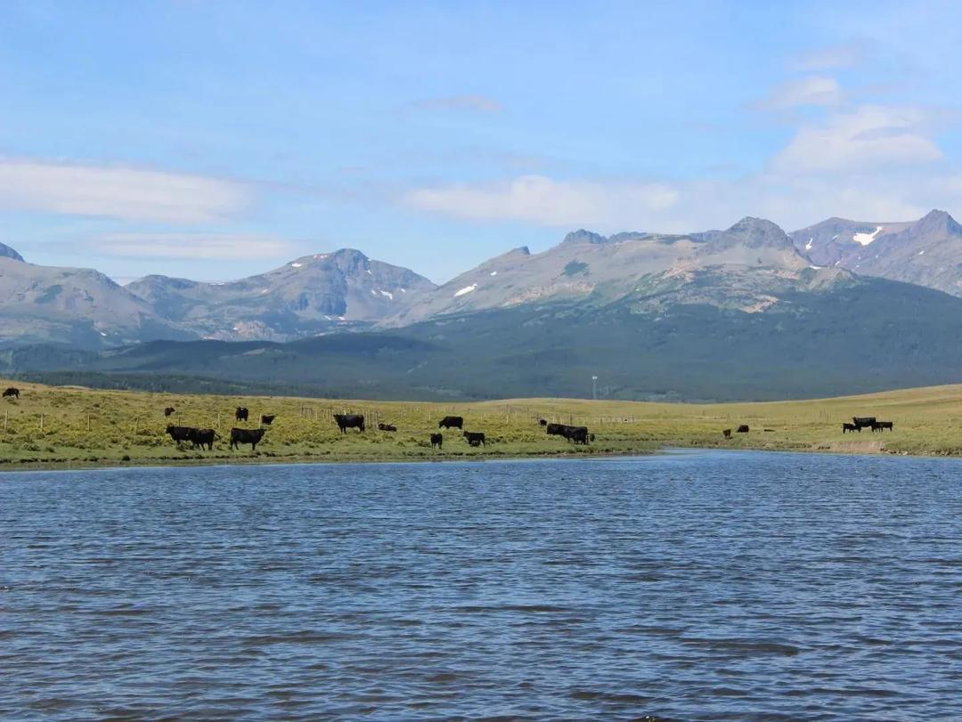 East Glacier Meadows Ranch