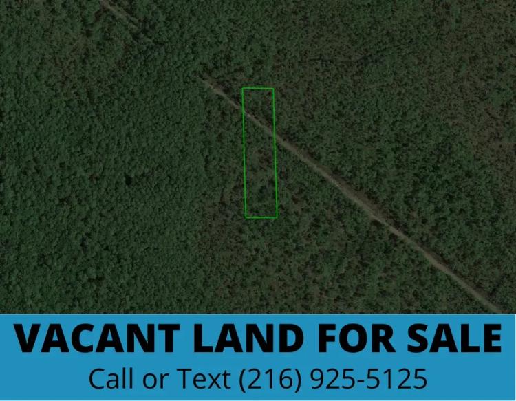 1.25 Acres In Desirable Area, Option to Double Lot Size! Volusia County, Florida