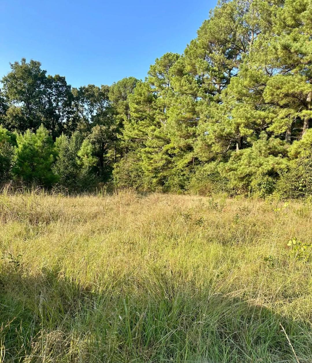 50.00 Acres at 3400 Highway 62 West