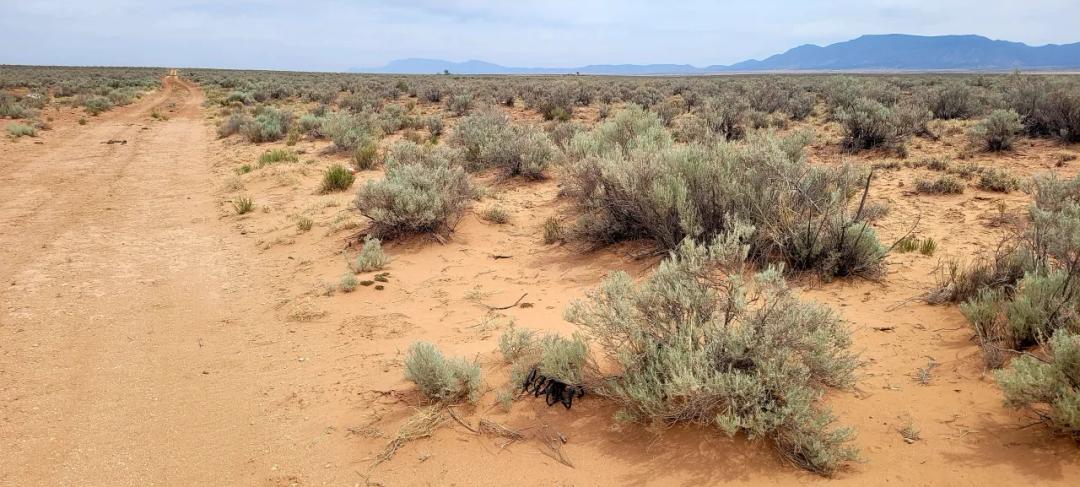 Belen New Mexico - Residential Building Lot - Mobiles OK