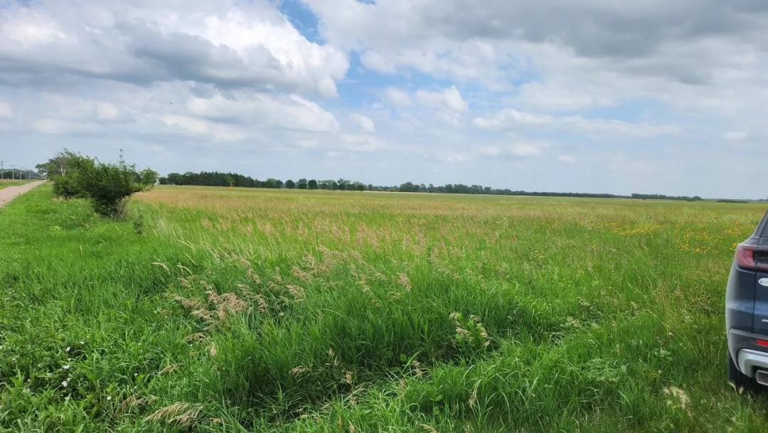 Fantastic Hay Meadow With Great Quality Grass!