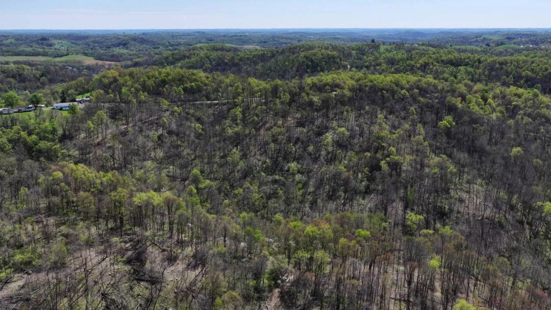 Belmont County Ohio Land for Sale | 52 Acres.