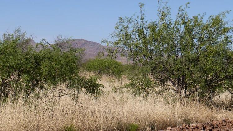 Scenic Southern Arizona 2 adjoining parcels