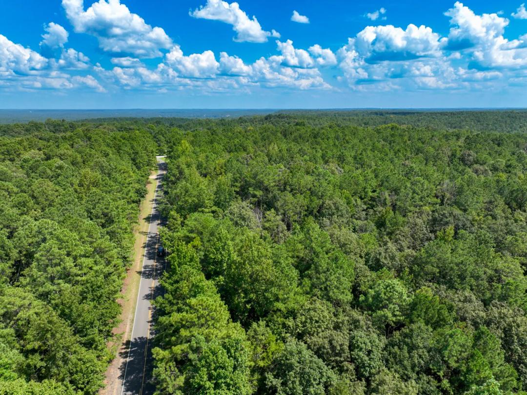 65.00 Acres at 0 BONE CAMP RD