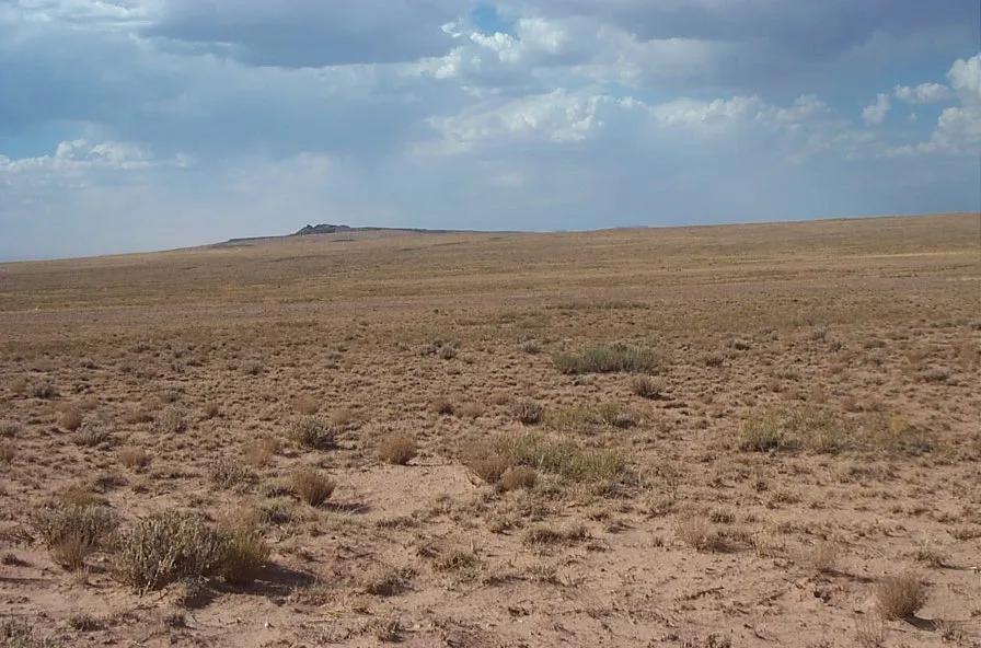 2 adjoining lots Holbrook * Sun Valley Petrified Forest * Mobiles Modulars allowed