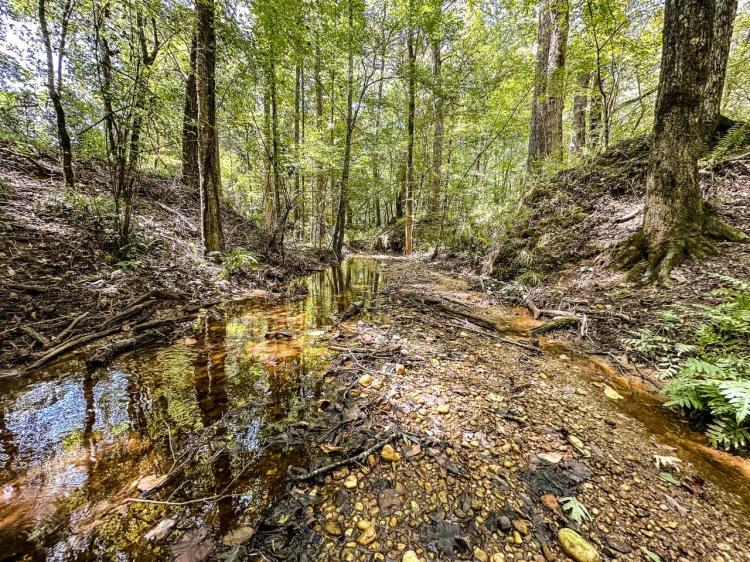 220 Acres of Great Hunting and Timber property in Autauga County