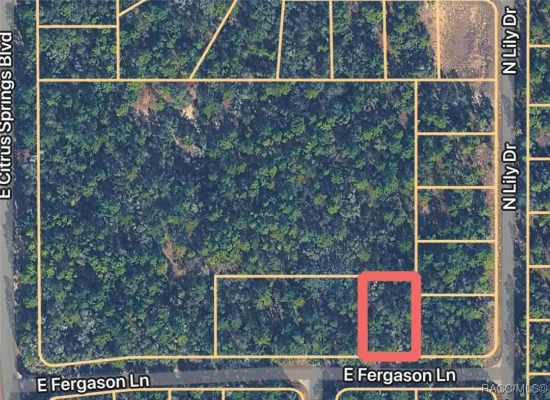 1409 E Fergason Lane