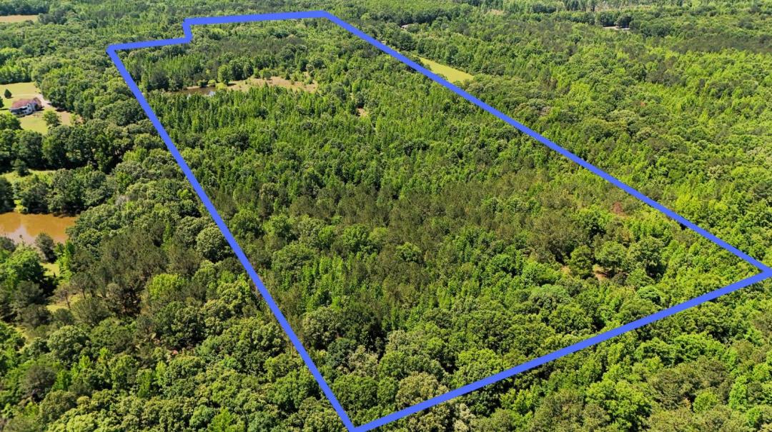 +/- 44 acres near Pike Road