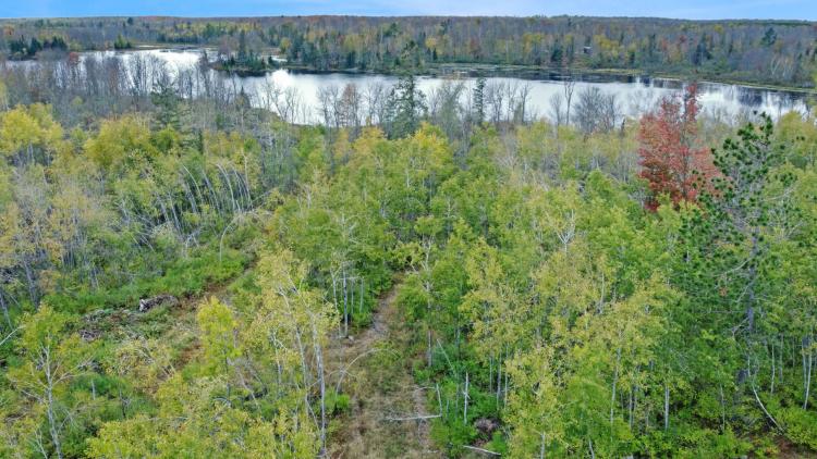 Sawyer County, Wisconsin 5.5 Acres For Sale